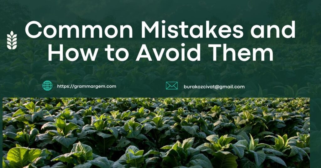 Common Mistakes and How to Avoid Them