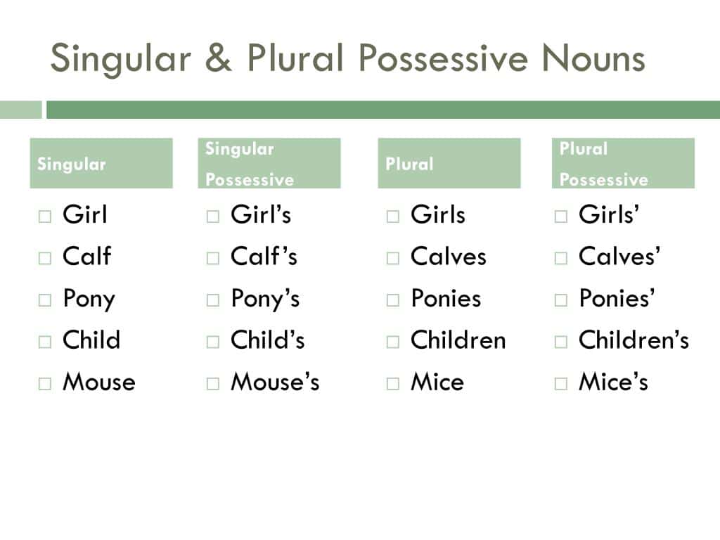 Possessive Forms and Irregular Nouns