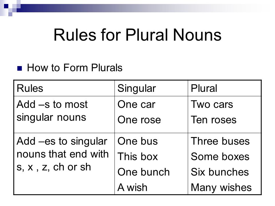 What is a Plural Possessive?