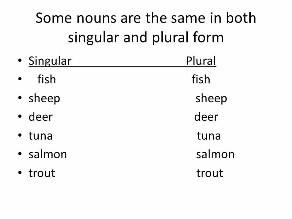 Plural Form: Communities